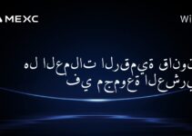 هل العملات الرقمية قانونية في مجموعة العشرين؟