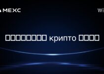 在南方共同市场， крипто 合法吗？