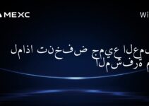 لماذا تنخفض جميع العملات المشفرة معًا؟