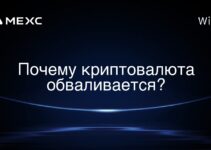 Почему криптовалюта обваливается?