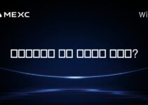 폴로니엑스는 어떤 나라에서 왔나요?