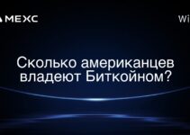 Сколько американцев владеют Биткойном?