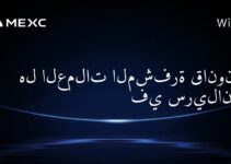 هل العملات المشفرة قانونية في سريلانكا؟