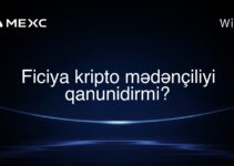 Ficiya kripto mədənçiliyi qanunidirmi?