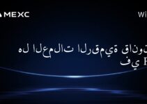 هل العملات الرقمية قانونية في Fiji؟
