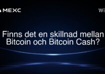 Finns det en skillnad mellan Bitcoin och Bitcoin Cash?