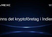 Finns det kryptoföretag i Indien?