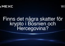 Finns det några skatter för krypto i Bosnien och Hercegovina?