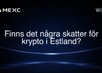 Finns det några skatter för krypto i Estland?