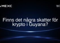 Finns det några skatter för krypto i Guyana?