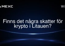 Finns det några skatter för krypto i Litauen?