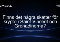 Finns det några skatter för krypto i Saint Vincent och Grenadinerna?