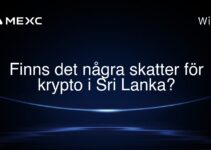 Finns det några skatter för krypto i Sri Lanka?