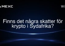 Finns det några skatter för krypto i Sydafrika?
