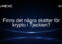 Finns det några skatter för krypto i Tjeckien?