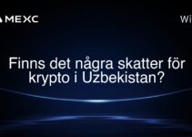Finns det några skatter för krypto i Uzbekistan?