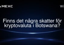 Finns det några skatter för kryptovaluta i Botswana?