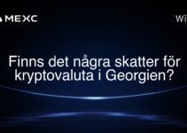Finns det några skatter för kryptovaluta i Georgien?