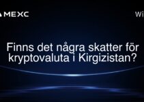 Finns det några skatter för kryptovaluta i Kirgizistan?