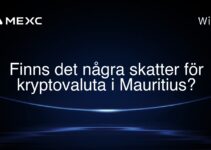 Finns det några skatter för kryptovaluta i Mauritius?