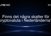 Finns det några skatter för kryptovaluta i Nederländerna?