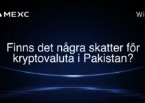 Finns det några skatter för kryptovaluta i Pakistan?