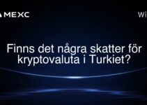 Finns det några skatter för kryptovaluta i Turkiet?
