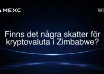 Finns det några skatter för kryptovaluta i Zimbabwe?