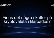 Finns det några skatter på kryptovaluta i Barbados?
