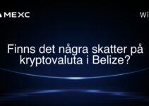 Finns det några skatter på kryptovaluta i Belize?