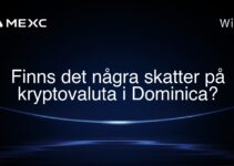 Finns det några skatter på kryptovaluta i Dominica?