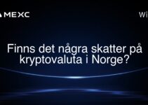Finns det några skatter på kryptovaluta i Norge?