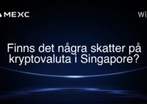 Finns det några skatter på kryptovaluta i Singapore?