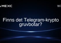 Finns det Telegram-krypto gruvbotar?