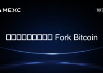 วิธีการทำ Fork Bitcoin