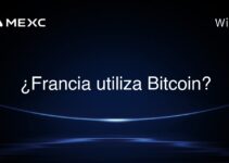 ¿Francia utiliza Bitcoin?