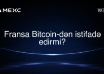 Fransa Bitcoin-dən istifadə edirmi?
