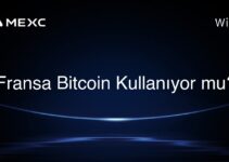 Fransa Bitcoin Kullanıyor mu?