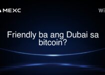 Friendly ba ang Dubai sa bitcoin?