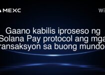 Gaano kabilis iproseso ng Solana Pay protocol ang mga transaksyon sa buong mundo?