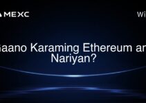 Gaano Karaming Ethereum ang Nariyan?