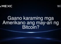 Gaano karaming mga Amerikano ang may-ari ng Bitcoin?