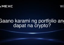 Gaano karami ng portfolio ang dapat na crypto?