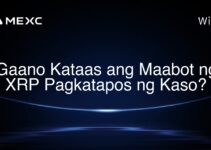 Gaano Kataas ang Maabot ng XRP Pagkatapos ng Kaso?