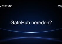 GateHub nereden?
