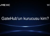 GateHub’un kurucusu kim?