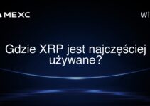 Gdzie XRP jest najczęściej używane?