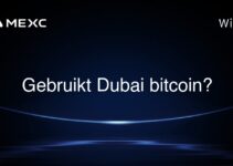 Gebruikt Dubai bitcoin?