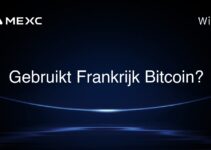 Gebruikt Frankrijk Bitcoin?