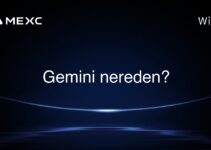 Gemini nereden?